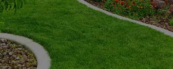 When pests invade your tulsa, ok home, they create many significant problems. Services Pest Control Extermination Elite Home Services