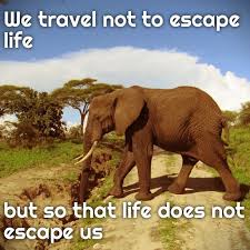 Pin By Anne Marie Walker On Take Me Theree Volunteer Travel Travel Helpers South African Quote