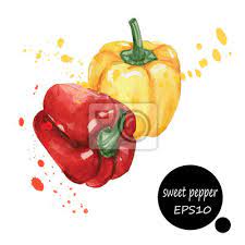 Paprika wird im hegau und auf der reichenau nach dem prinzip der integrierten produktion angebaut. Paprika Hand Zeichnen Aquarellmalerei Auf Weissem Hintergrund Leinwandbilder Bilder Schone Kreativitat Tag Myloview De