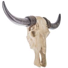 Item measures 18 x 19.25 x 2.75 inches,great. Small Western Style Colourful Cow Skull Wall Plaque Home Decor Universitasfundacion Decor Figurines