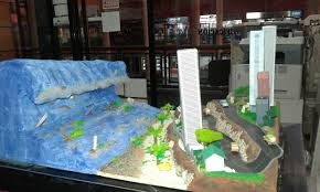 Tsunami Science Fair Earthquake Project Physics Projects