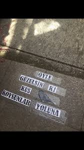 Oyle Guzelsin Ki Kus Koysunlar Yoluna Nilgun Marmara Siir Arsivi Kitap Alintilari Siir Kitap