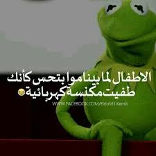يلا تنام وادبحلك ضفدع كامل Funny Comments Funny Stickers Funny Jokes