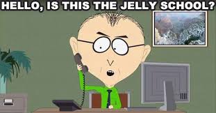 I Have A Girl Here Who S Extremely Jelly South Park South Park Memes The Hobbit