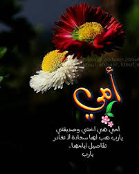 صور جميلة صور حلوة جدا خلفيات جميله منوعه يلا صور