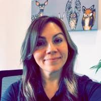 STI Computer Services Email Format