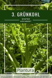 Hochbeet Im Winter Nutzen Ideen Tipps Hochbeet Beete Gartentipps