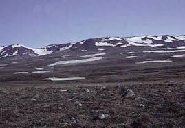 Tundra dikenali sebagai tanah matahari tengah malam semasa musim panas, apabila matahari bersinar hampir 24 jam sehari selama enam hingga 10 minggu. Bioma Tundra The Science Of Darma