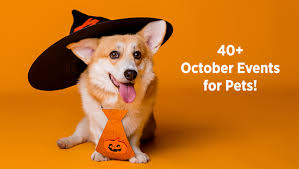 225 reviews of all about puppies best groomer ever! 40 October Events For Pets Petsguide Magazine