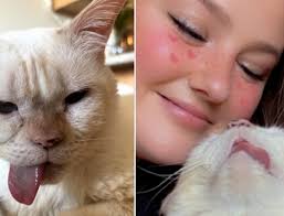 Hurricane Milton Destroys Business, But Tiny Kitten Saved From Rubble Helps  Heal Their Hearts