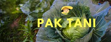 Bentuk caping bambu meiliki lebar sekitar 38 cm dan 42 cm. Pak Tani Photos Facebook