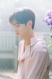 I Like That Earring Too Selebritas Cha Eun Woo Aktor