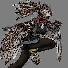 Owlfolk 5e