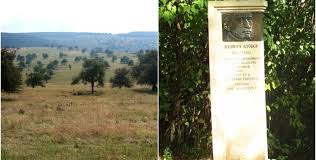 Satul Suceagu Comuna Baciu Județul Cluj Clujul Văzut Altfel