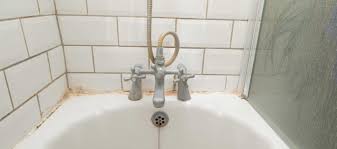 Check spelling or type a new query. If You Ve Got Water Dripping Into The Basement Every Time You Take A Shower Learn About Bathtub Leak Repair A Bathtub Leaking Leak Repair Springfield Missouri