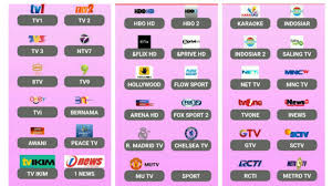 All malaysian tv channels have been set up in this app to. Free Live Tv For Android Malaysia Indonesia Youtube