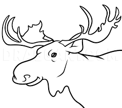 To print the coloring page Moose Head Drawing Tutorial Coloring Page Trace Drawing