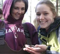 Creative Approaches to Environmental Education