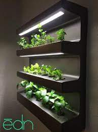 This Edn Herb Grower Will Transform How You Grow Your Herbs Learn More Here Indoor Vegetable Gardening Herb Grower Indoor Herb Garden
