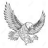 Adelaar restaurant & pub, pretoria, south africa. Https Encrypted Tbn0 Gstatic Com Images Q Tbn And9gcso Nzhnw2o1fcdvee0no 0gq2ii Yuezgemgmoedazrnjdyzm9 Usqp Cau