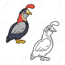 Quail line art coloring page. Funny Quail Vector Illustration Coloring Page Of Happy Cartoon Quail For Children Coloring And Scrap Book Royalty Free Cliparts Vectors And Stock Illustration Image 47329095