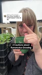 Essential Tips for Growing Ranunculus Successfully