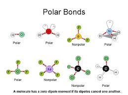 Learn about polar nonpolar with free interactive flashcards. Ncl3 Polar Or Nonpolar Bonds