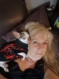 How to adopt a small to medium-sized dog from a rescue group or SPCA  without being scammed?