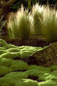 author val easton tells how to pare down garden work without sacrificing beauty oregonlive com beaux jardins jardins jardinage