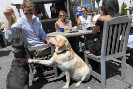 Kid friendly restaurants in tallahassee. Dog Friendly Pubs Near My Location Online