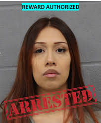 Hays County Crime Stoppers, Inc.