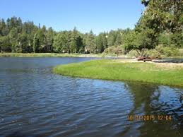 Appliance repair architects asphalt & paving companies cabinet makers carpenters carpet cleaning chimney sweeps concrete contractors deck builders drywall contractors. Grass Valley Park Arrowhead Lake Association