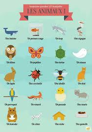 Animals French Words French Flashcards Learn French
