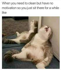 Housework In 2020 Funny Animal Jokes Funny Animal Quotes Funny Cat Memes