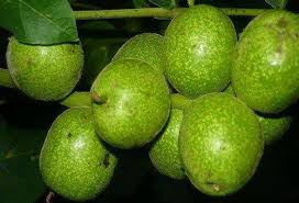 Élimine les taches sur de nombreux textiles efficacement et sans les abimer. Comment Se Laver Les Mains Des Noix Rapidement Et Sans Traces