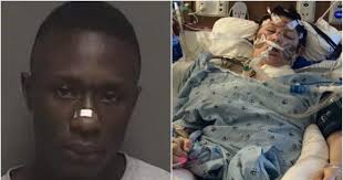 Daisy 'Jupiter' Paulsen Dies From Injuries After Fargo Stabbing, Arthur  Prince Collie Charged