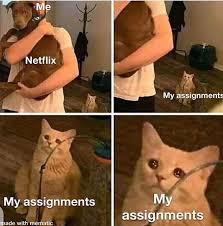 Assignments Better Move On Funny Relatable Memes Funny Memes Stupid Funny Memes