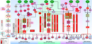 Δες επιβεβαιωμένες αξιολογήσεις απο ασθενείς, μάθε το κόστος επίσκεψης, τα χρόνια εμπειρίας και κλείσε δωρεάν ραντεβού στο doctoranytime! Integrated Molecular Characterisation Of The Mapk Pathways In Human Cancers Reveals Pharmacologically Vulnerable Mutations And Gene Dependencies Communications Biology