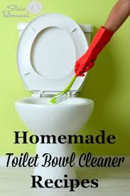 The easiest diy toilet bowl cleaner. Homemade Toilet Bowl Cleaner Recipes And Home Remedies