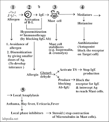 Chapter 11 Hypersensitivity Reactions Type 1 Hypersensitivity Reaction Anaphylaxis Atopy And Treatment Labpedia Net