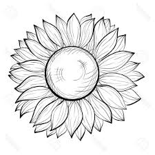 Black+and+white+sketches+of+flowers | any medium even just pencil and paper and the students will soon. White Sunflowers Sunflower Drawing Sunflower Tattoo Design