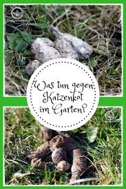 Ihre wirksamkeit ist allerdings umstritten. Was Tun Gegen Katzenkot Im Garten Gartenblog Topfgartenwelt Katzenkot Massnahmen Garten Abhilfe Wastun Katzenkot Obstbaume Pflanzen Garten