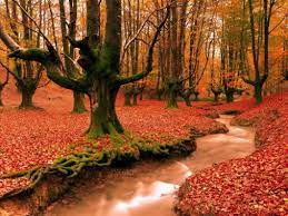 You can also upload and share your favorite new wallpapers new wallpapers download. Hd Wallpapers 1080p Zip File Download Background For Selfie Hd 1600x1066 Download Hd Wallpaper Wallpapertip