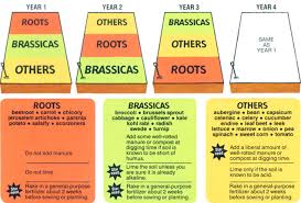 Three Crop Rotation Garden Design Ideas