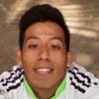 PDF) Contribution to the study of the mycobiota present in the natural  habitats of Histoplasma capsulatum: an integrative study in Guerrero,  Mexico Contribución al conocimiento de la micobiota presente en los hábitats