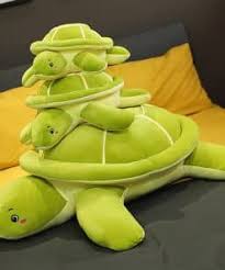 Que faire d'une tortue morte. Comment Savoir Si Une Tortue Est Morte Ou Si Elle Hiberne Univers Tortue