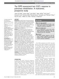 Image result for COPD Assessment Test
