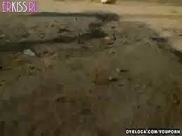 Tag team of amateur girls. Cute Amateur Latina Gets Tag Teamed Porn Video