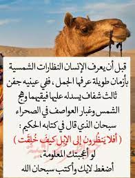 pin by يحيى تركو on معلومات عامة sketch book morning wish quotes