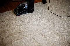 Straight vinegar sprayed on mold will kill about 80 percent of mold species. How To Get Mold Out Of Carpet Like A Pro